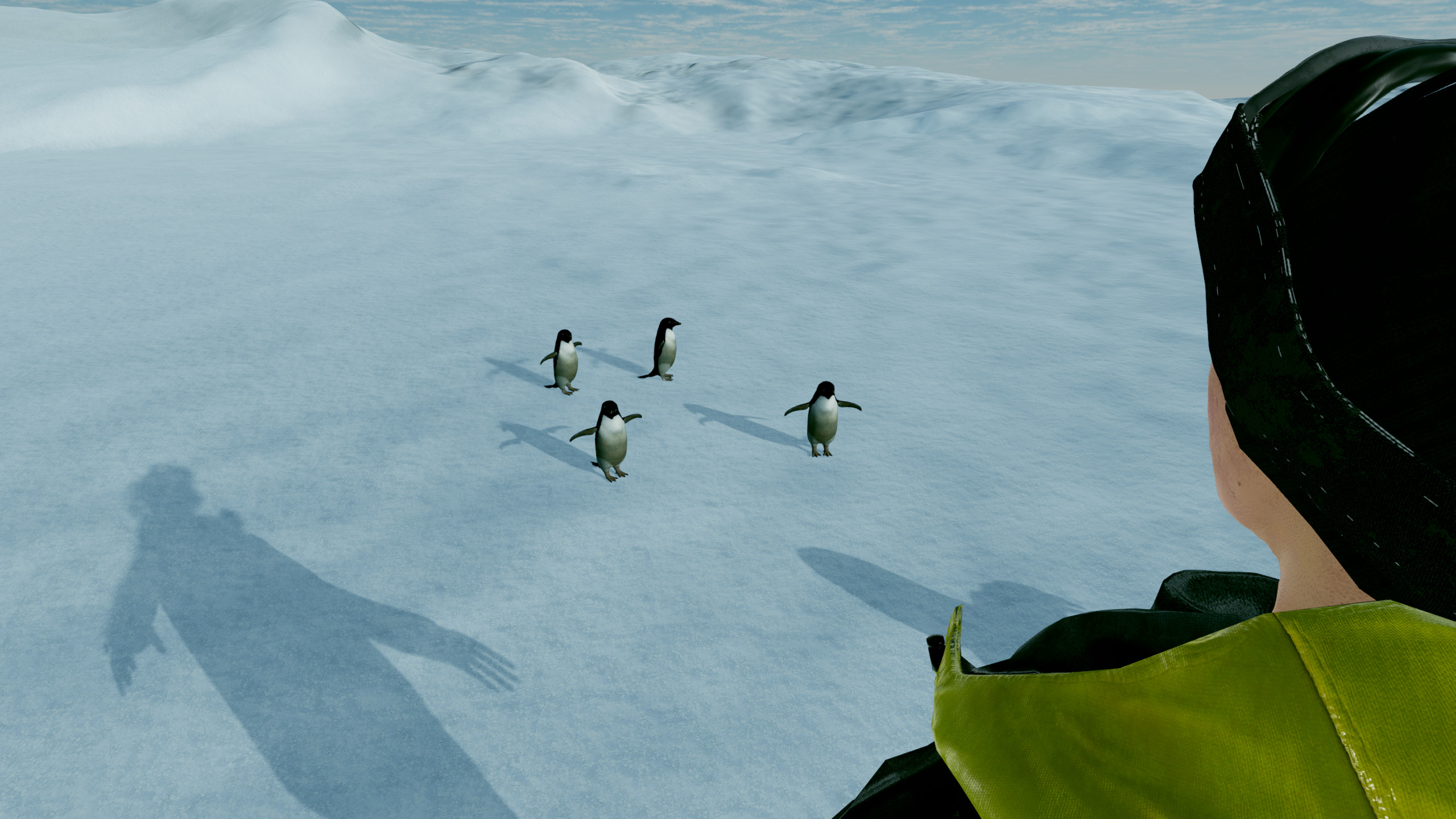 Kolb Antarctica Experience screenshot 5