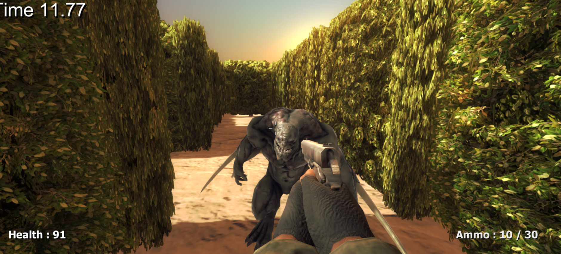 Maze Madness 3D FPS screenshot 5