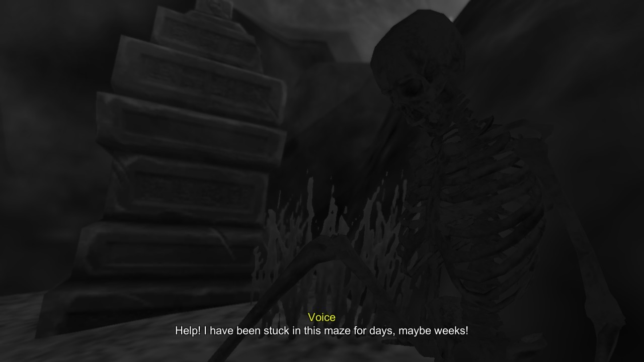 Mr. Maze screenshot 14