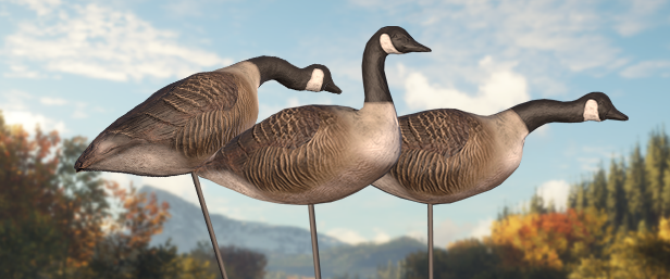 TheHunter: Call of the Wild - Wild Goose Chase Gear thumbnail
