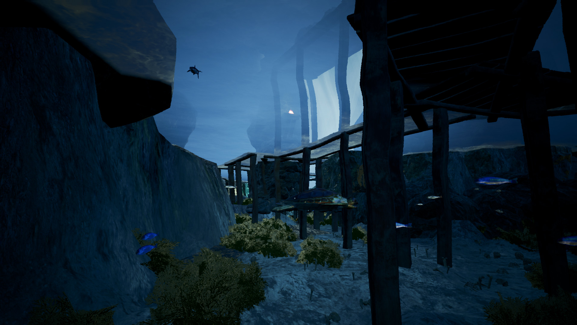 Expedia Cenote Experience screenshot 8
