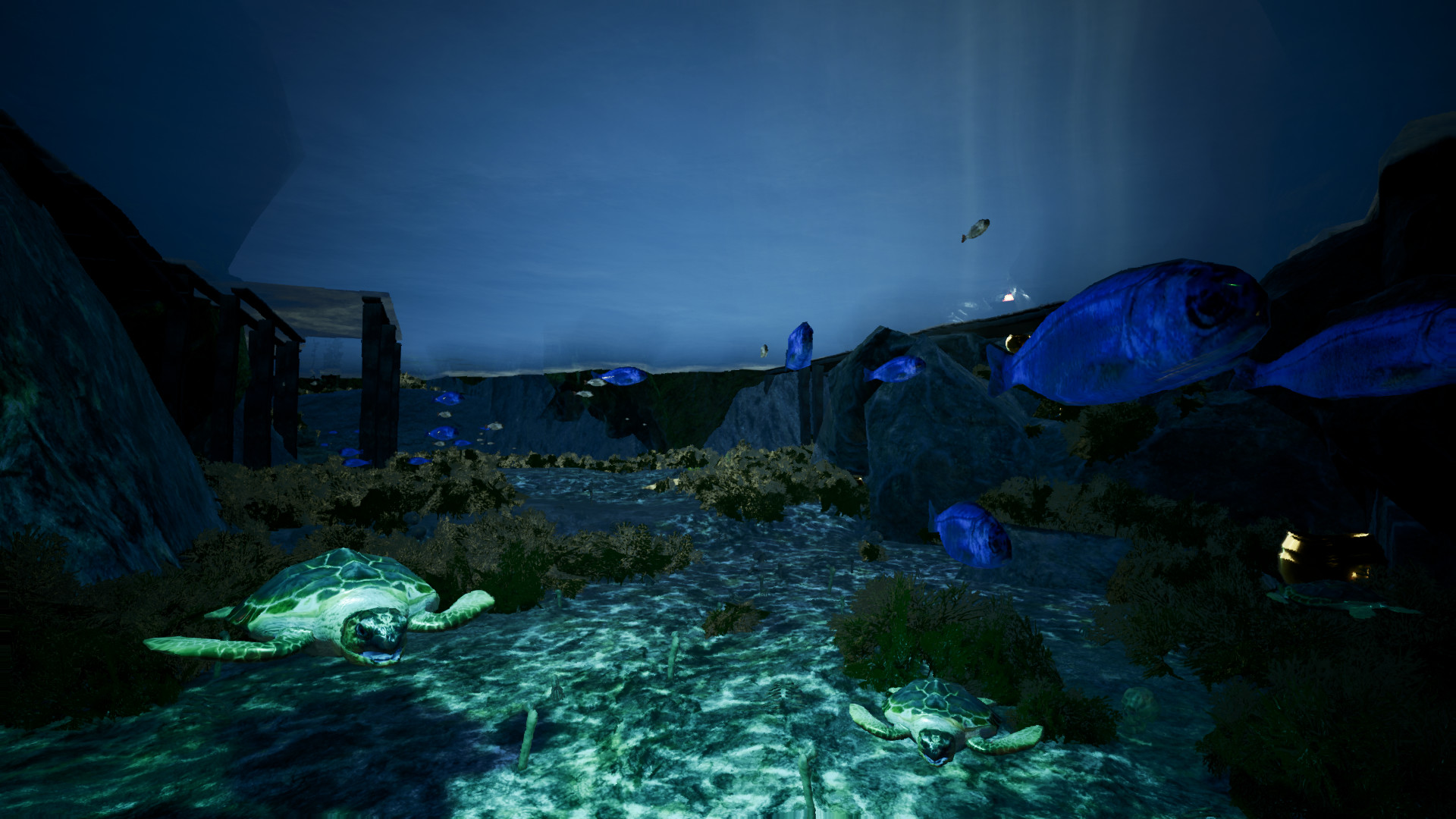 Expedia Cenote Experience screenshot 10