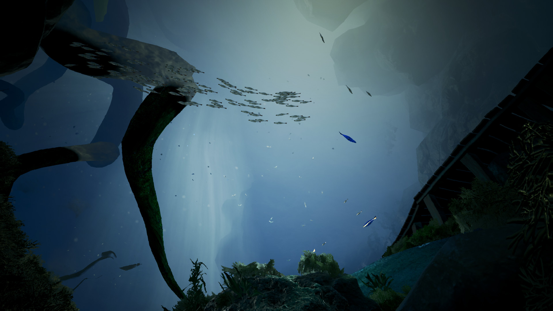 Expedia Cenote Experience screenshot 5