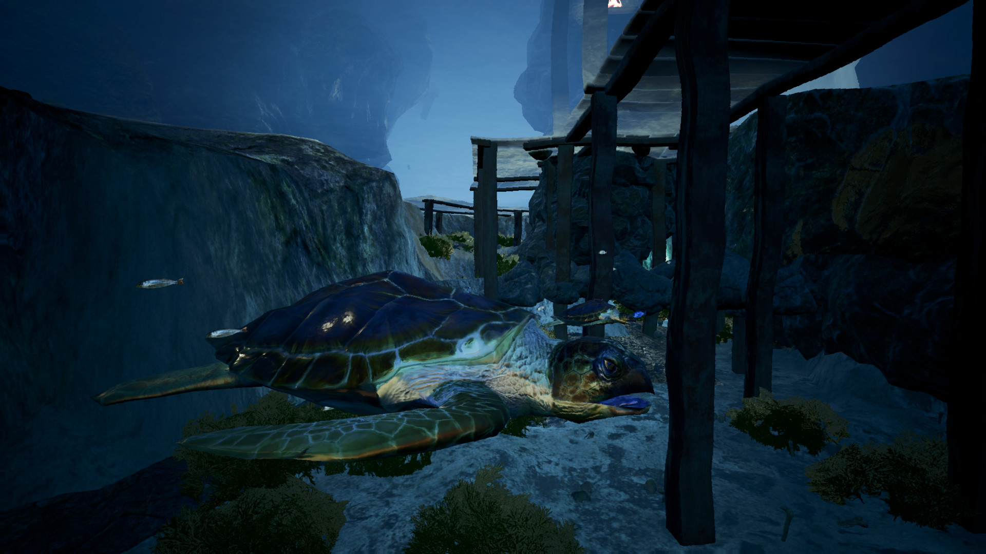 Expedia Cenote Experience screenshot 2