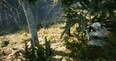 A screenshot of EXFIL