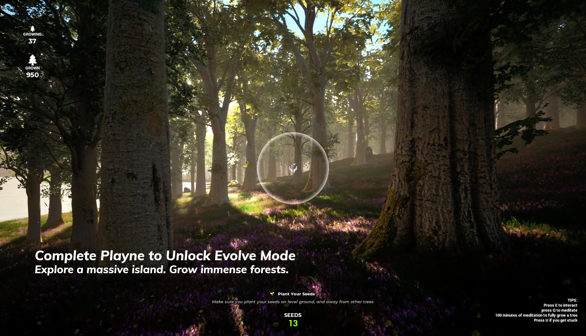 PLAYNE screenshot 9