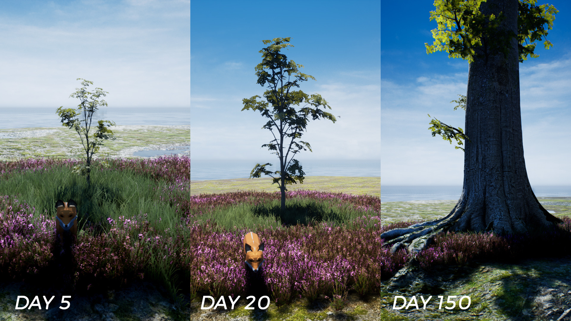 PLAYNE screenshot 3