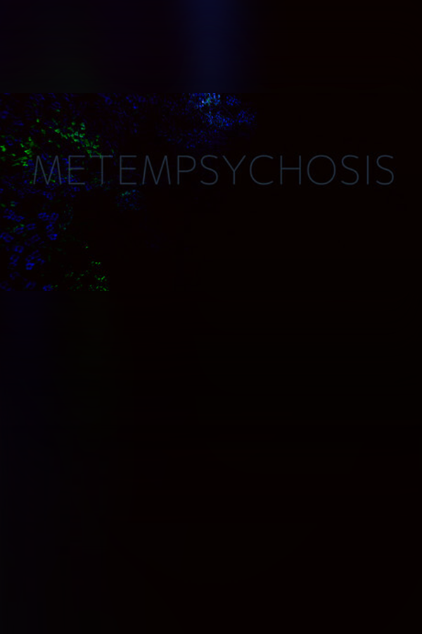 b0290d47-9394-720a-1d29-f63089e8fbdc