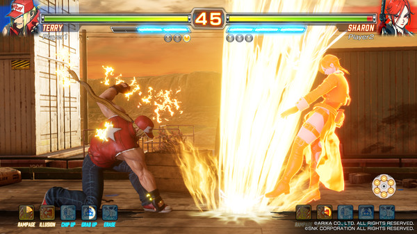 FIGHTING EX LAYER screenshot