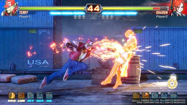 FIGHTING EX LAYER screenshot