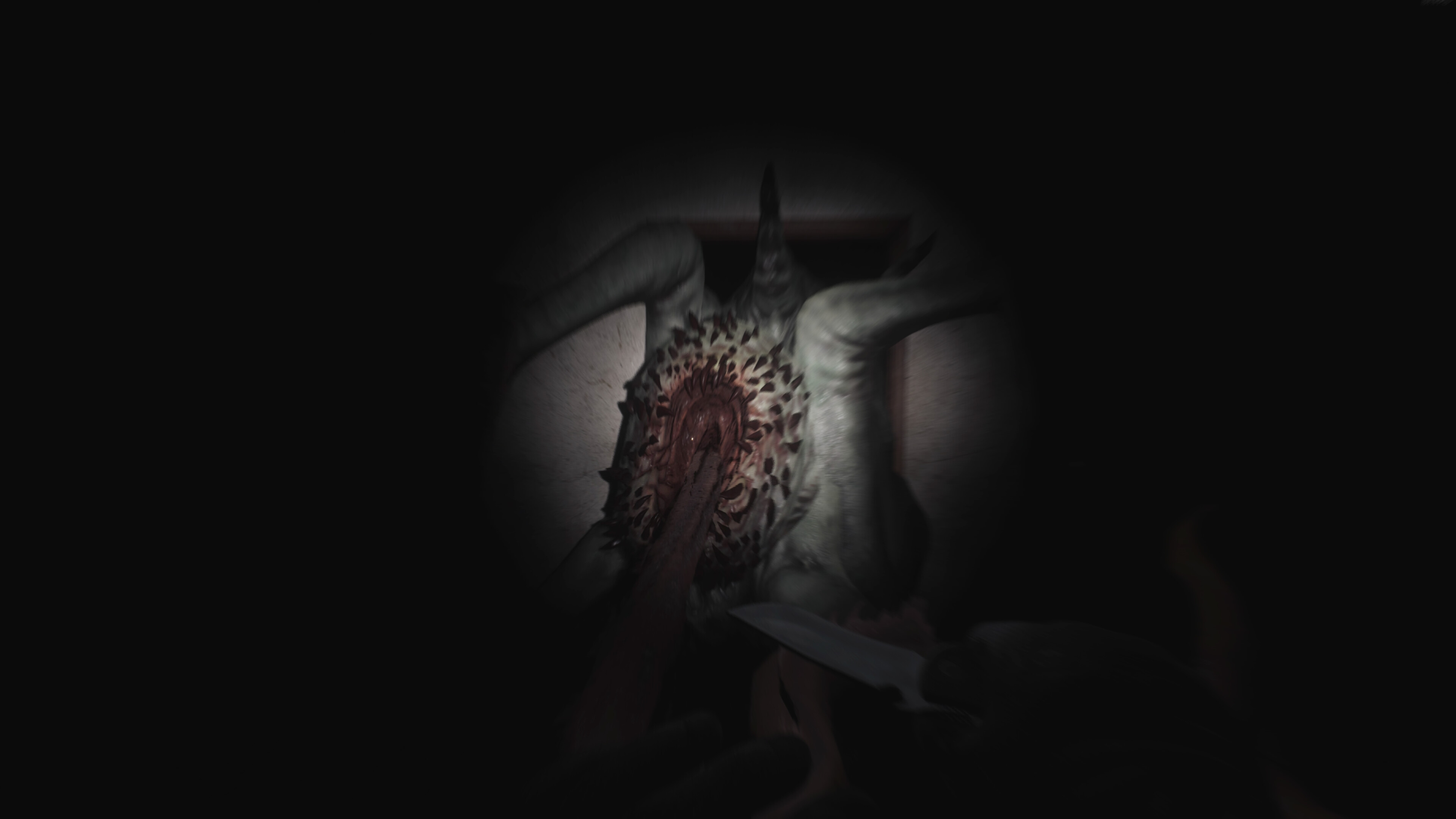 SCP: 5K (Alpha Testing) screenshot 11