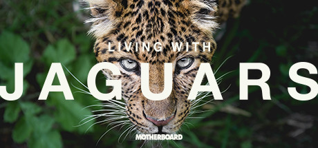 Living with Jaguars VR: header artwork