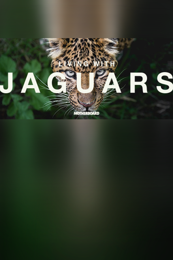 14a28322-6e66-e5db-e9de-54ae2fef7eb4