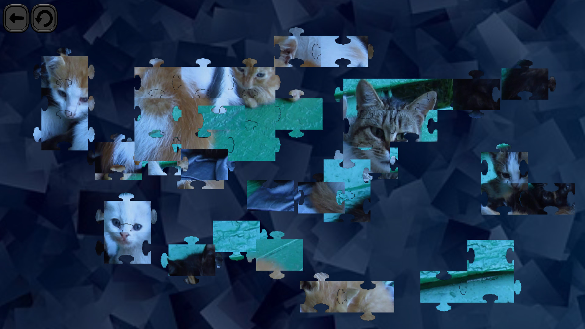 Puzzles for smart: Cats screenshot 6