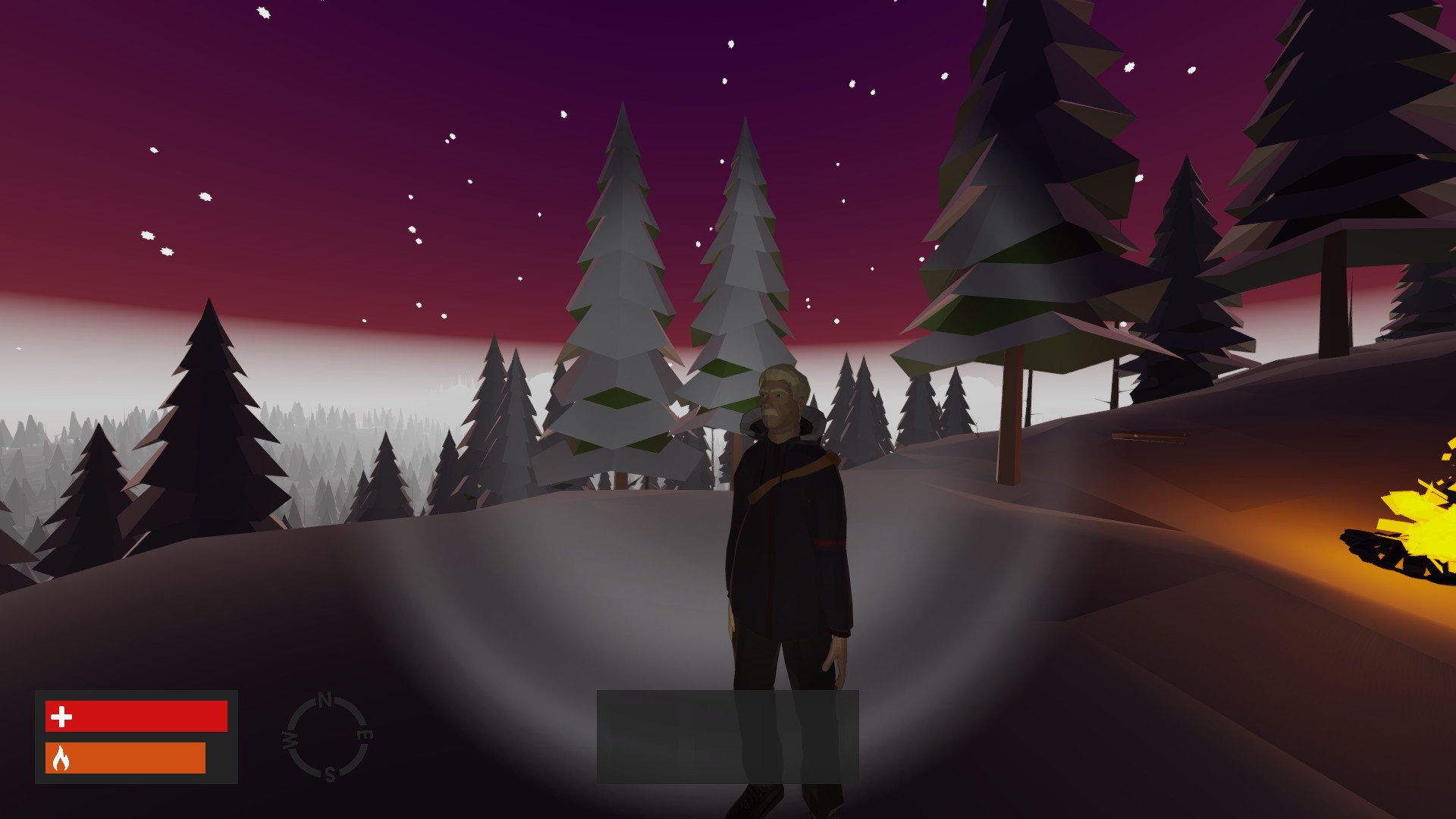 True North screenshot 16