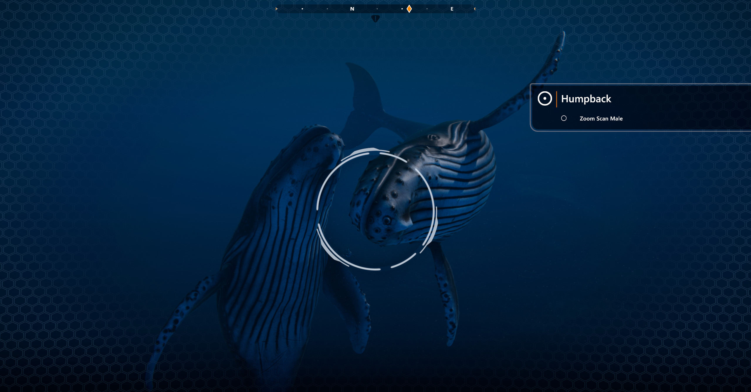 Beyond Blue screenshot 9