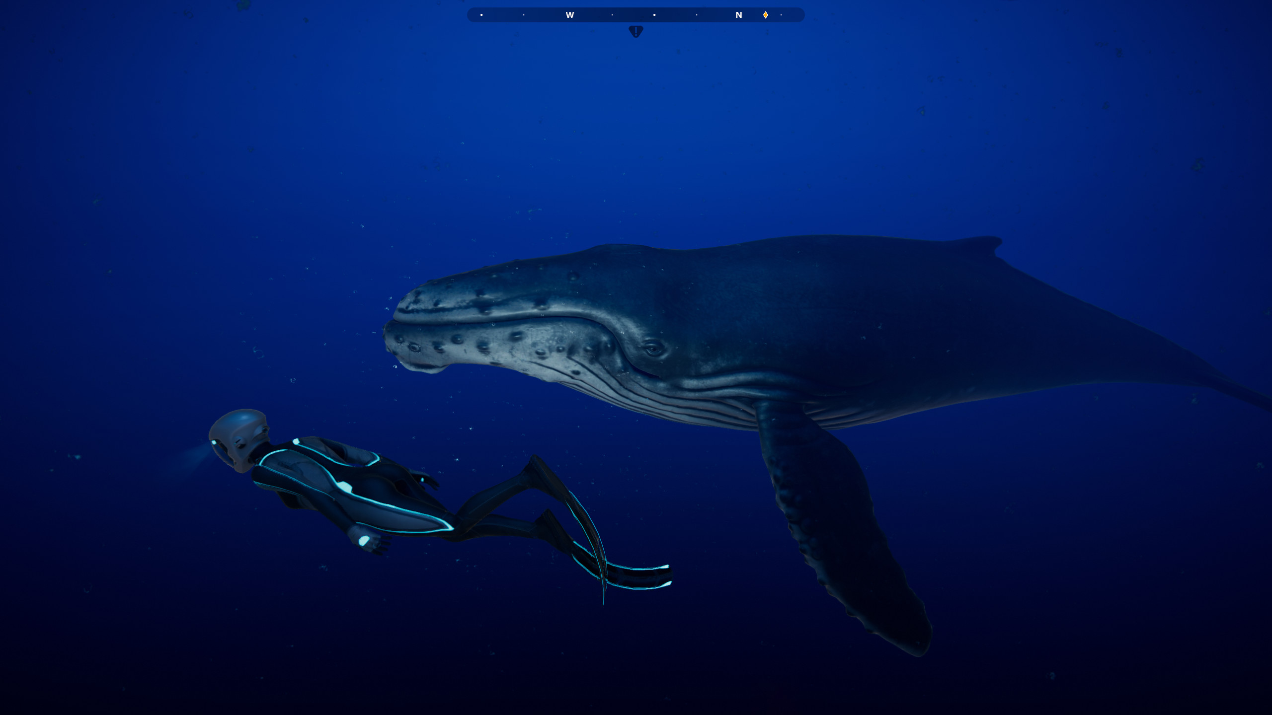 Beyond Blue screenshot 18