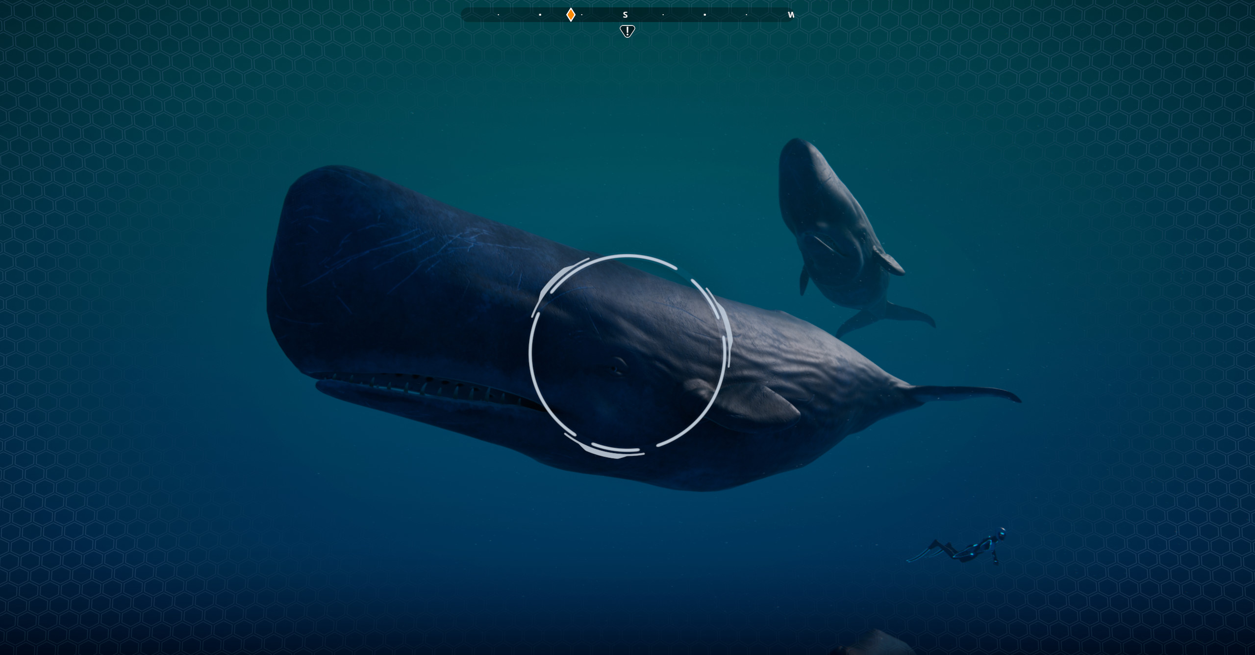 Beyond Blue screenshot 17