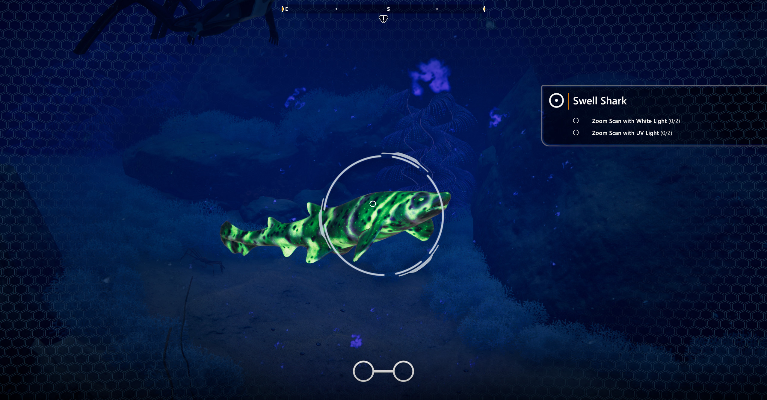 Beyond Blue screenshot 11