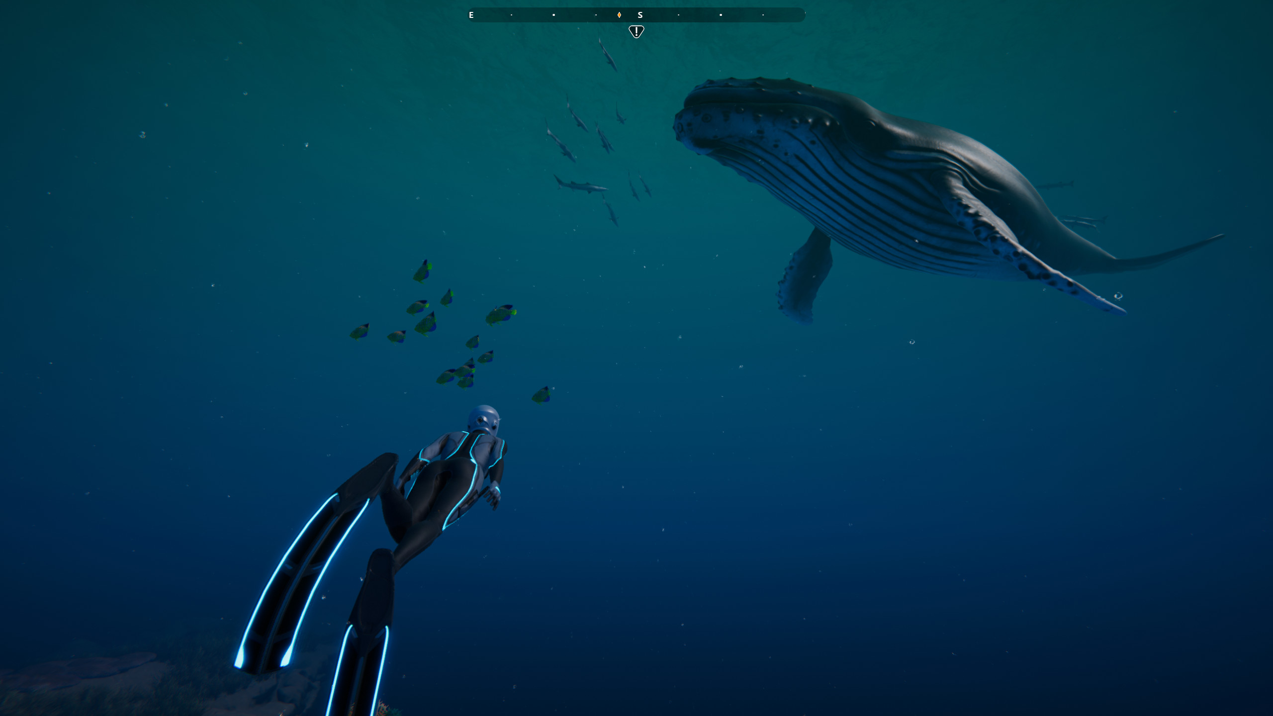 Beyond Blue screenshot 16