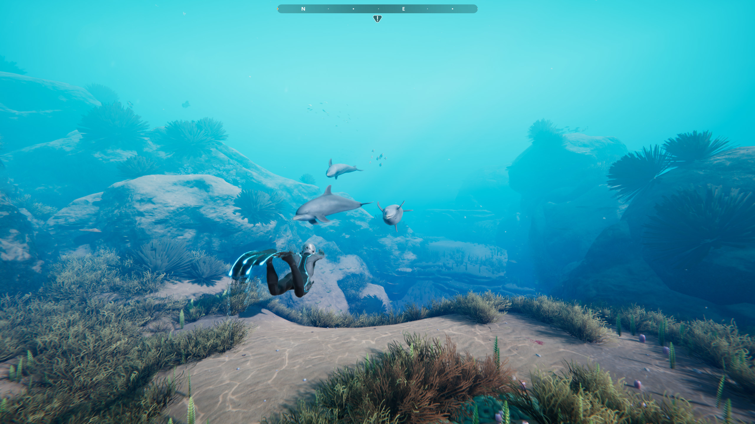 Beyond Blue screenshot 14