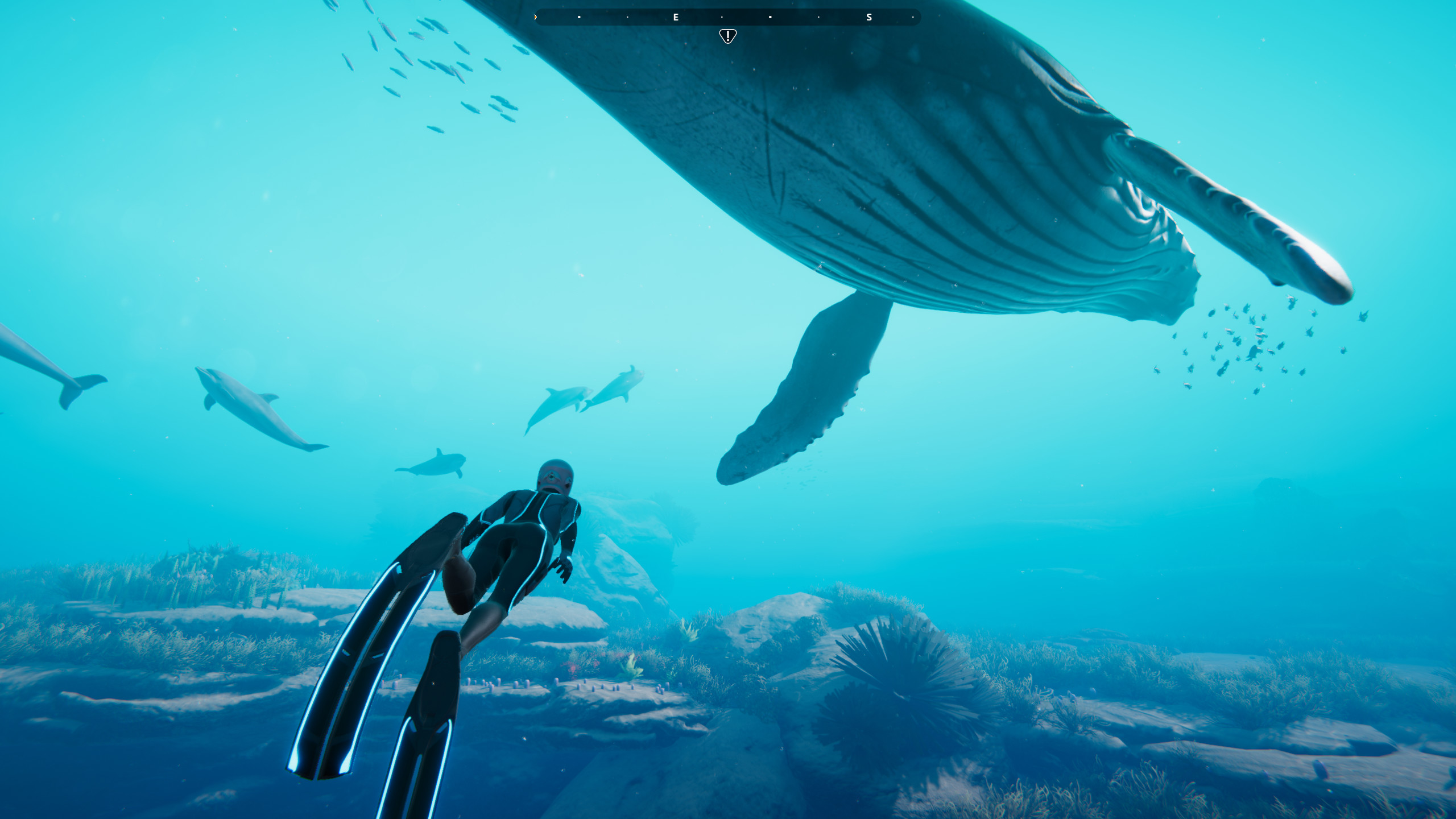 Beyond Blue screenshot 15