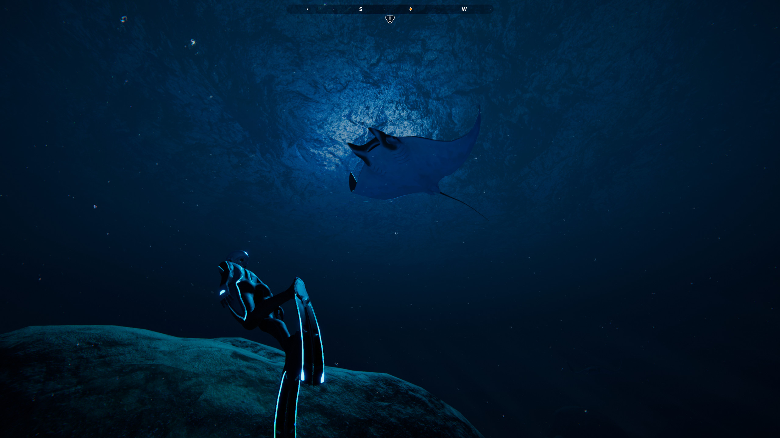 Beyond Blue screenshot 19