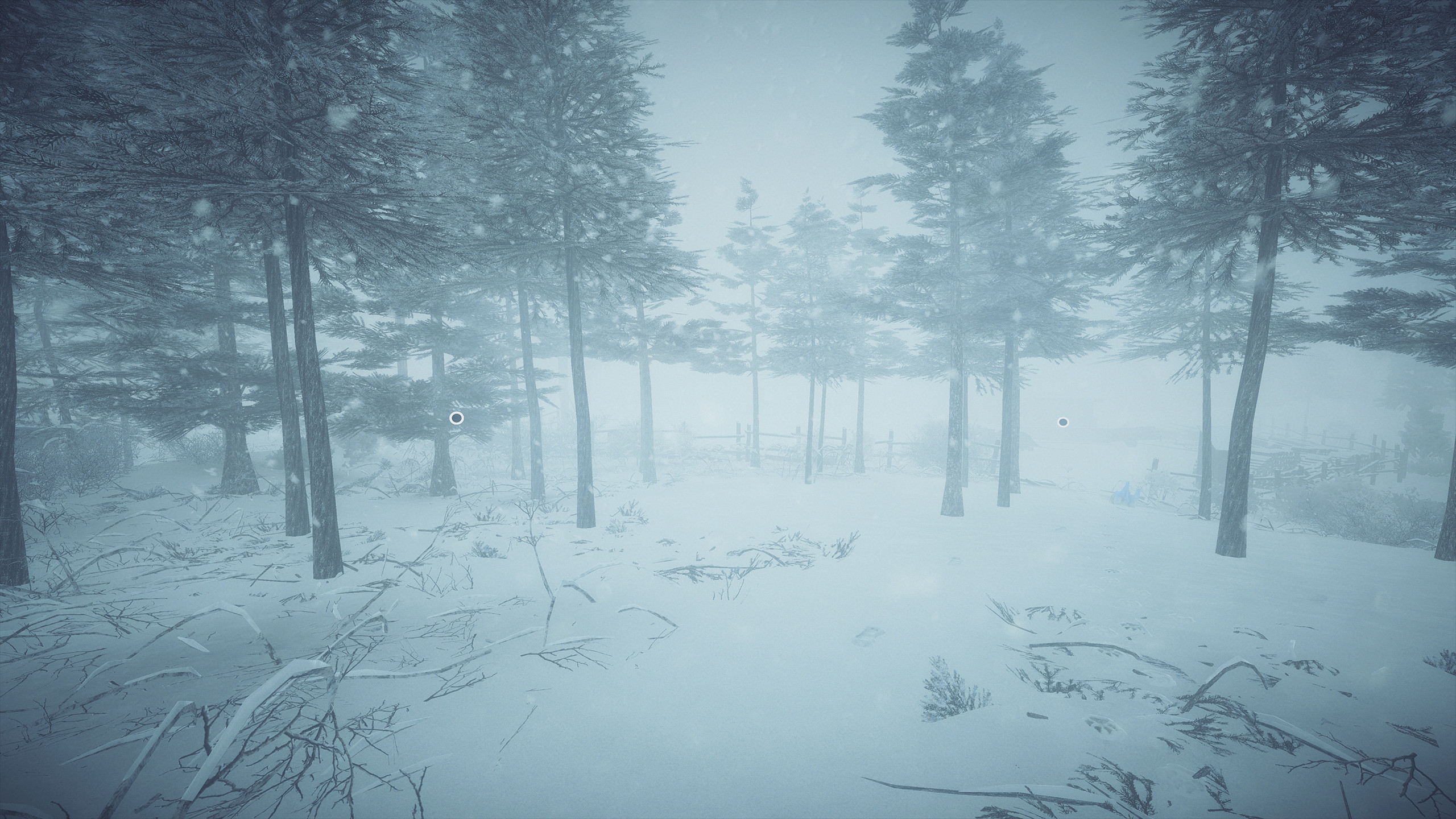Kona VR screenshot 3