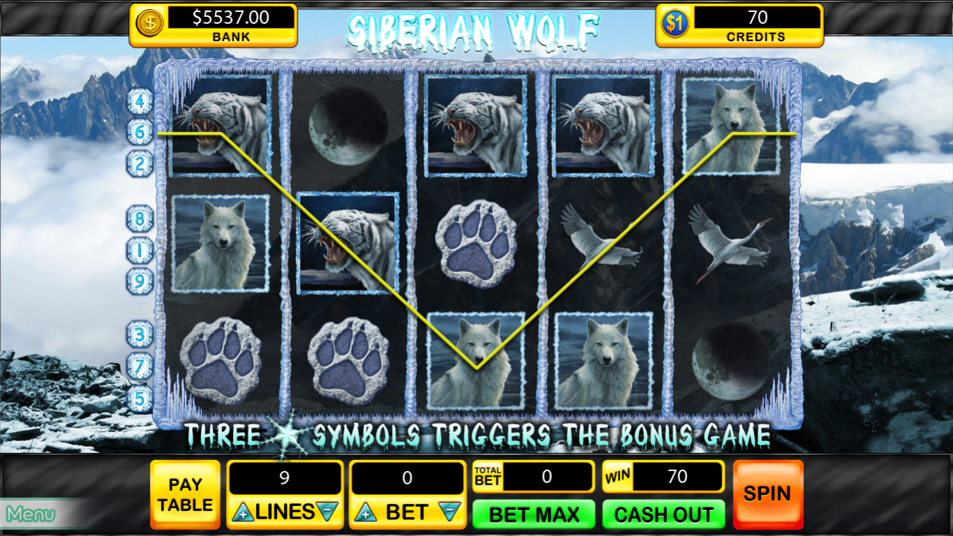 Casino Mega Collection screenshot 2