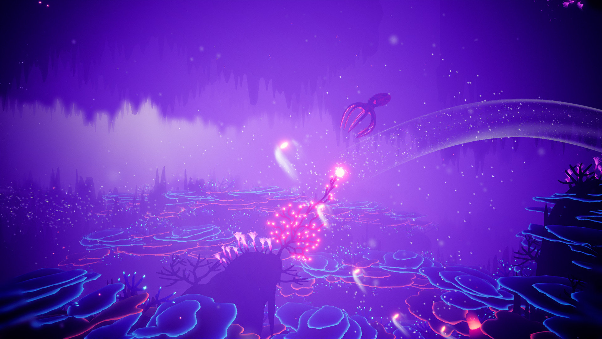 Koral screenshot 4