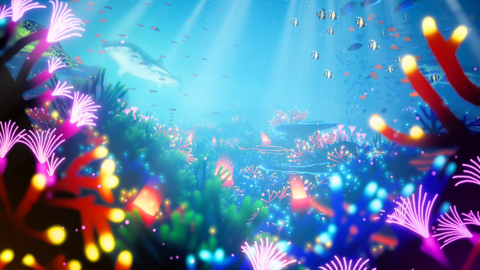 Koral screenshot 1