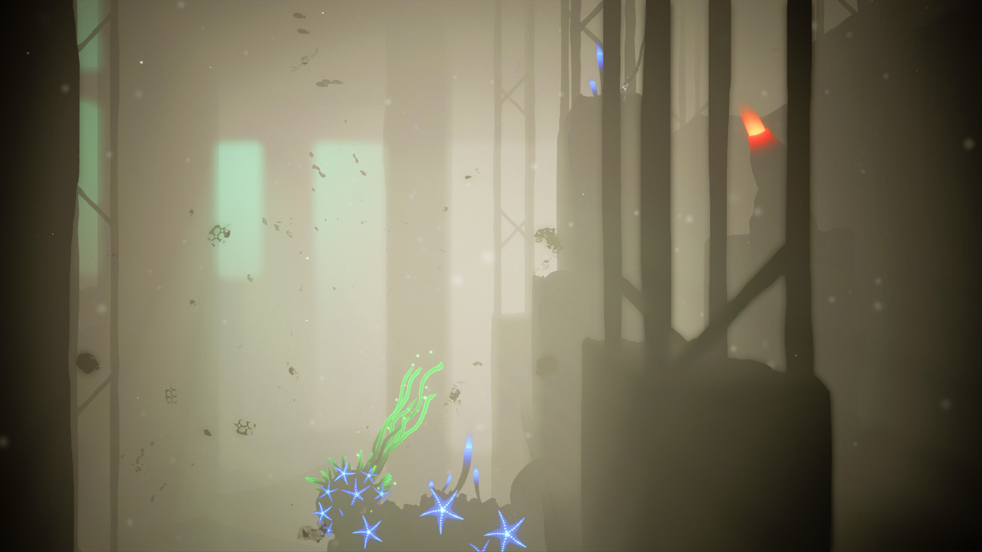 Koral screenshot 6