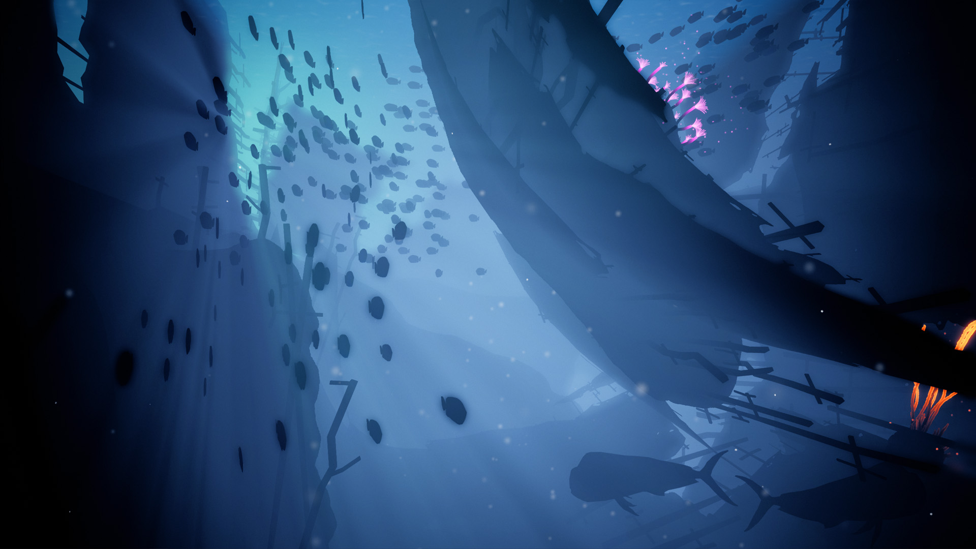 Koral screenshot 5