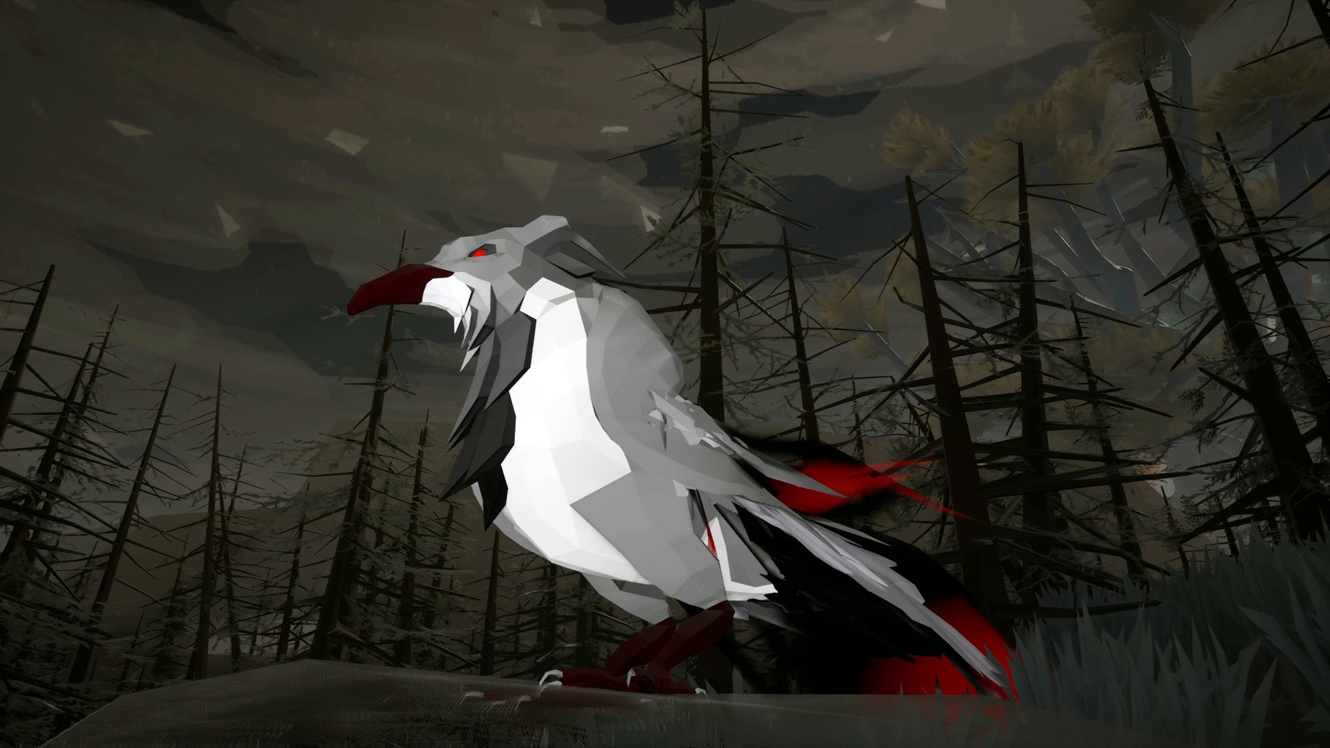 Shores Unknown screenshot 14