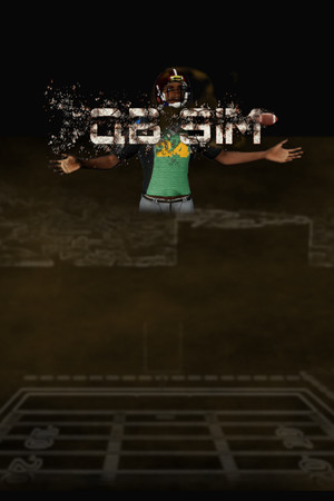 QB Sim