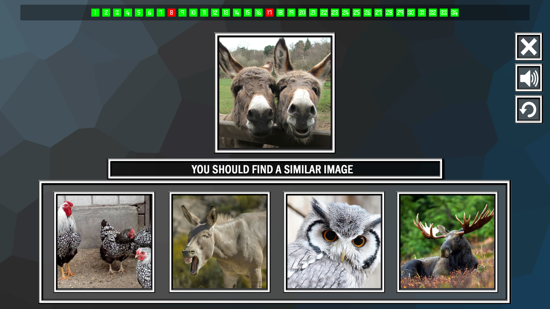 Repeat the image: Animals screenshot 1