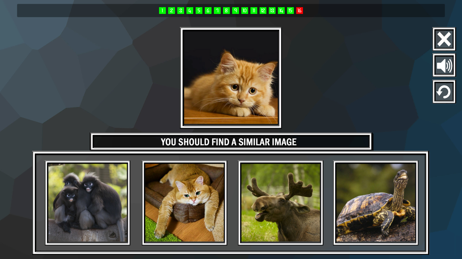 Repeat the image: Animals screenshot 4