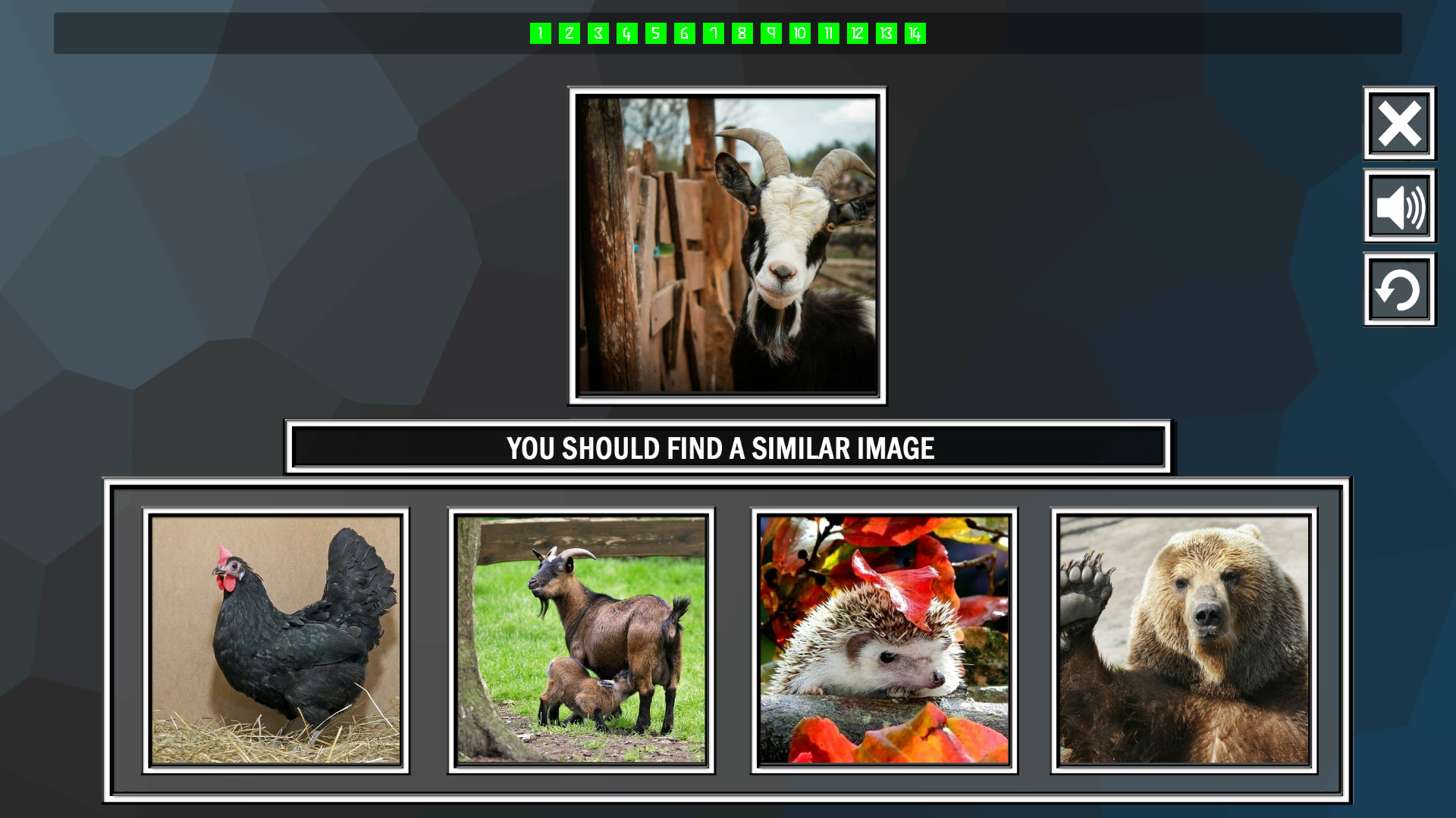 Repeat the image: Animals screenshot 3