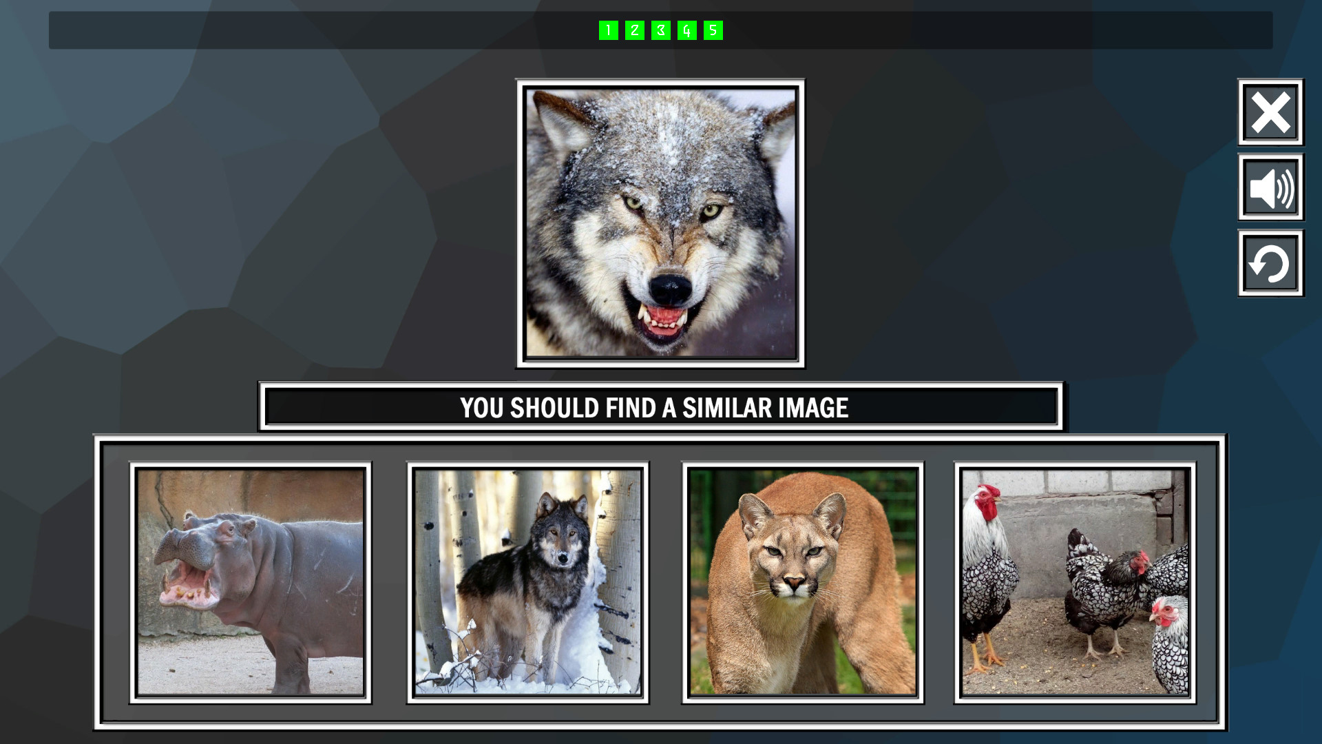 Repeat the image: Animals screenshot 2