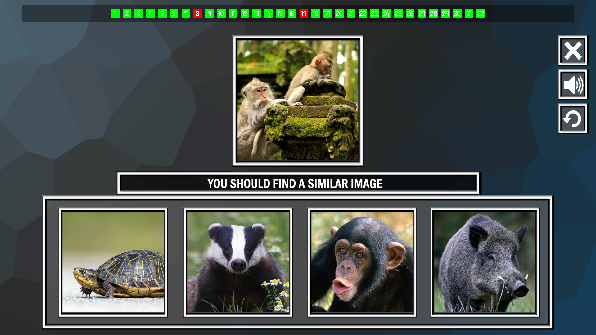 Repeat the image: Animals screenshot 5