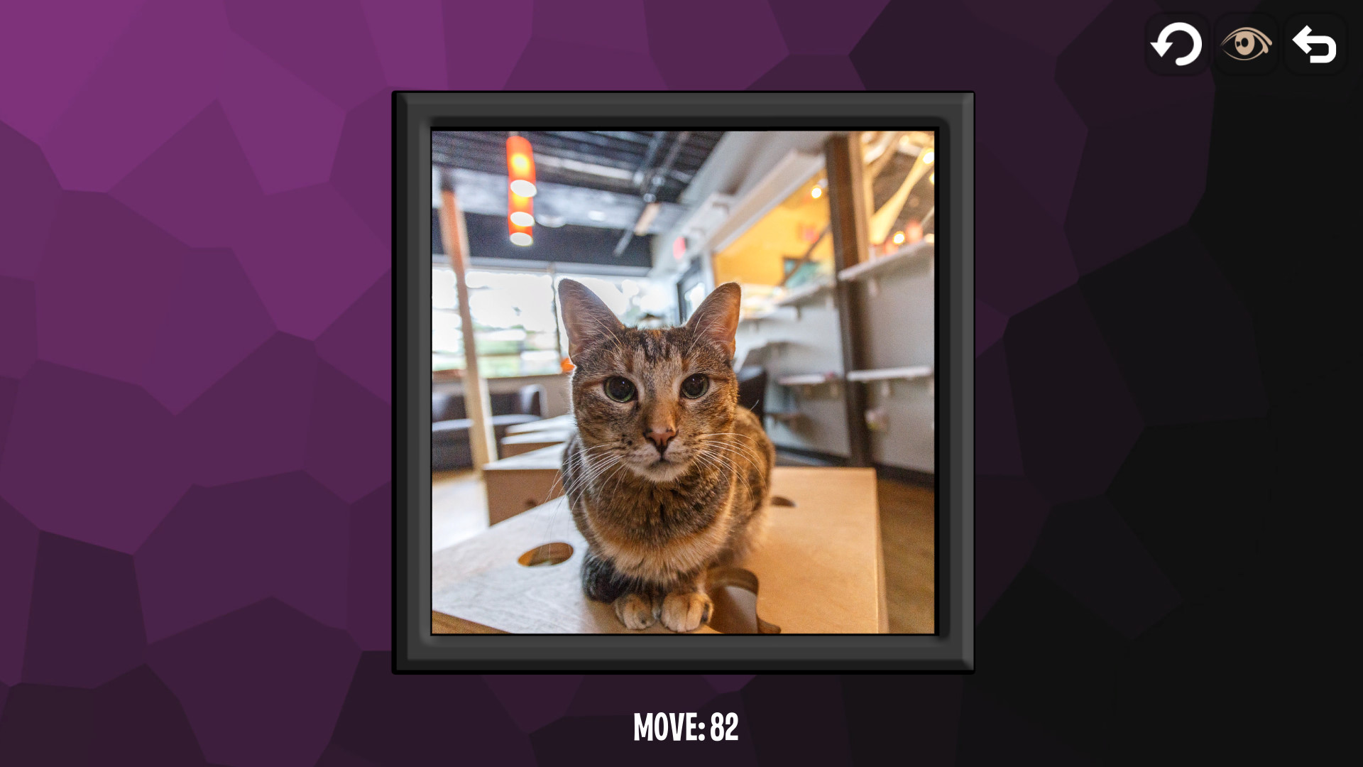 Intelligence: Cats screenshot 3