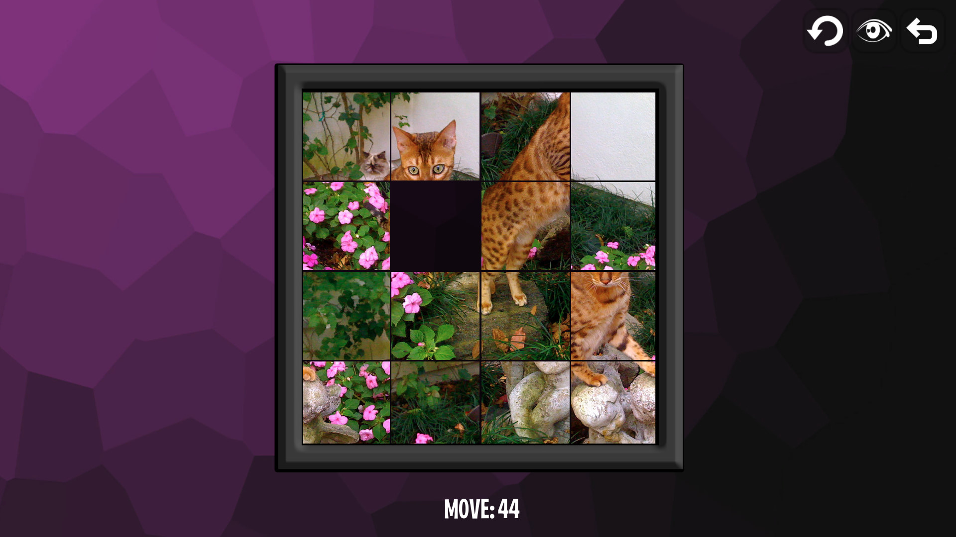 Intelligence: Cats screenshot 5