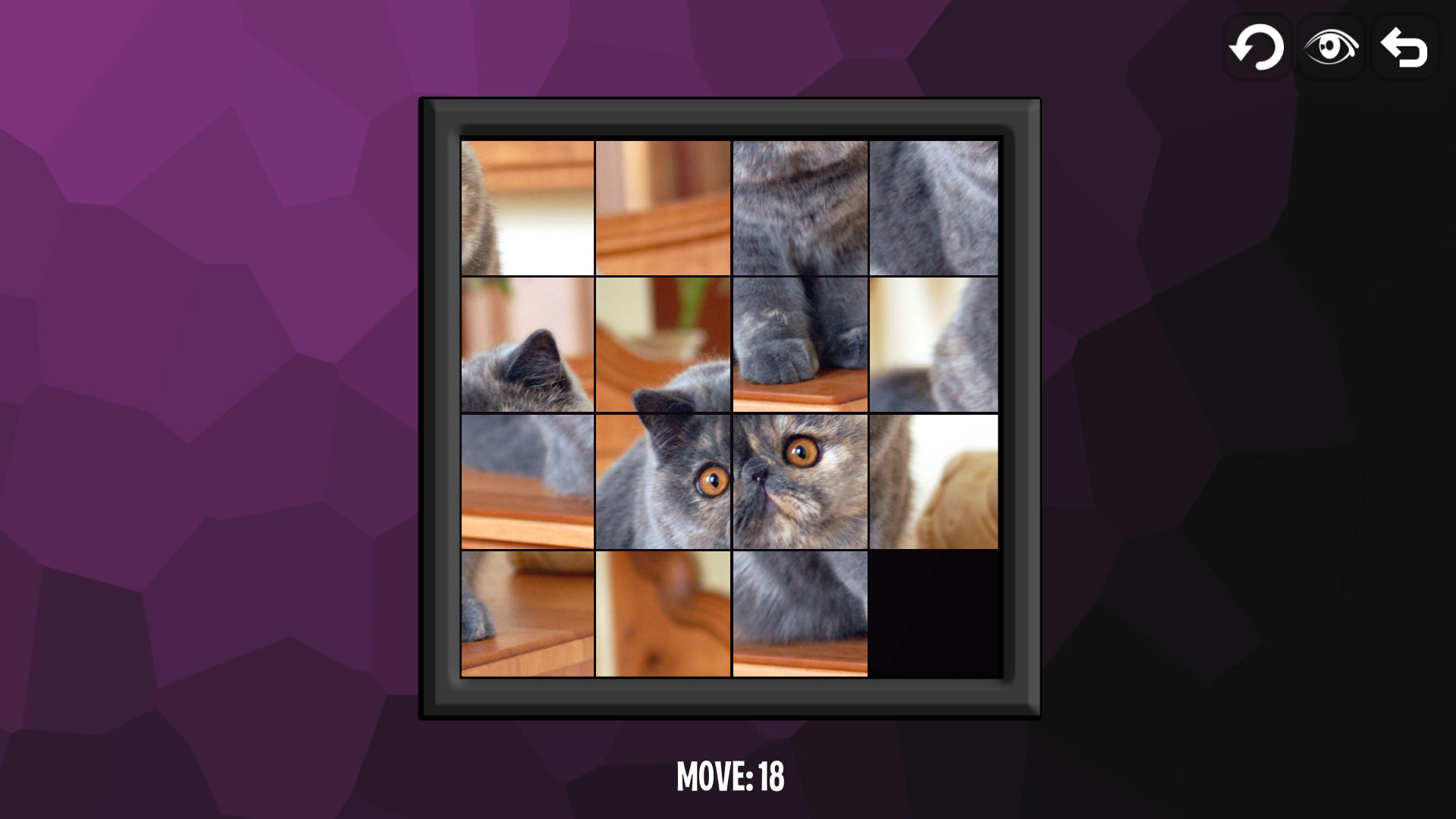 Intelligence: Cats screenshot 6