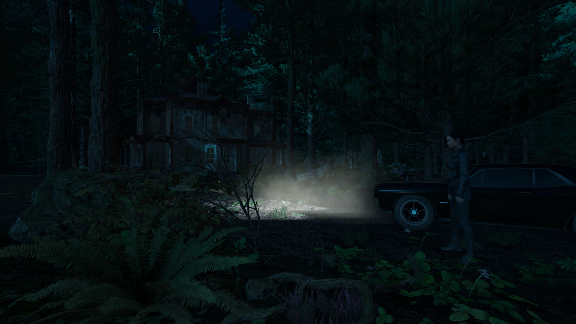 Victoria screenshot 10