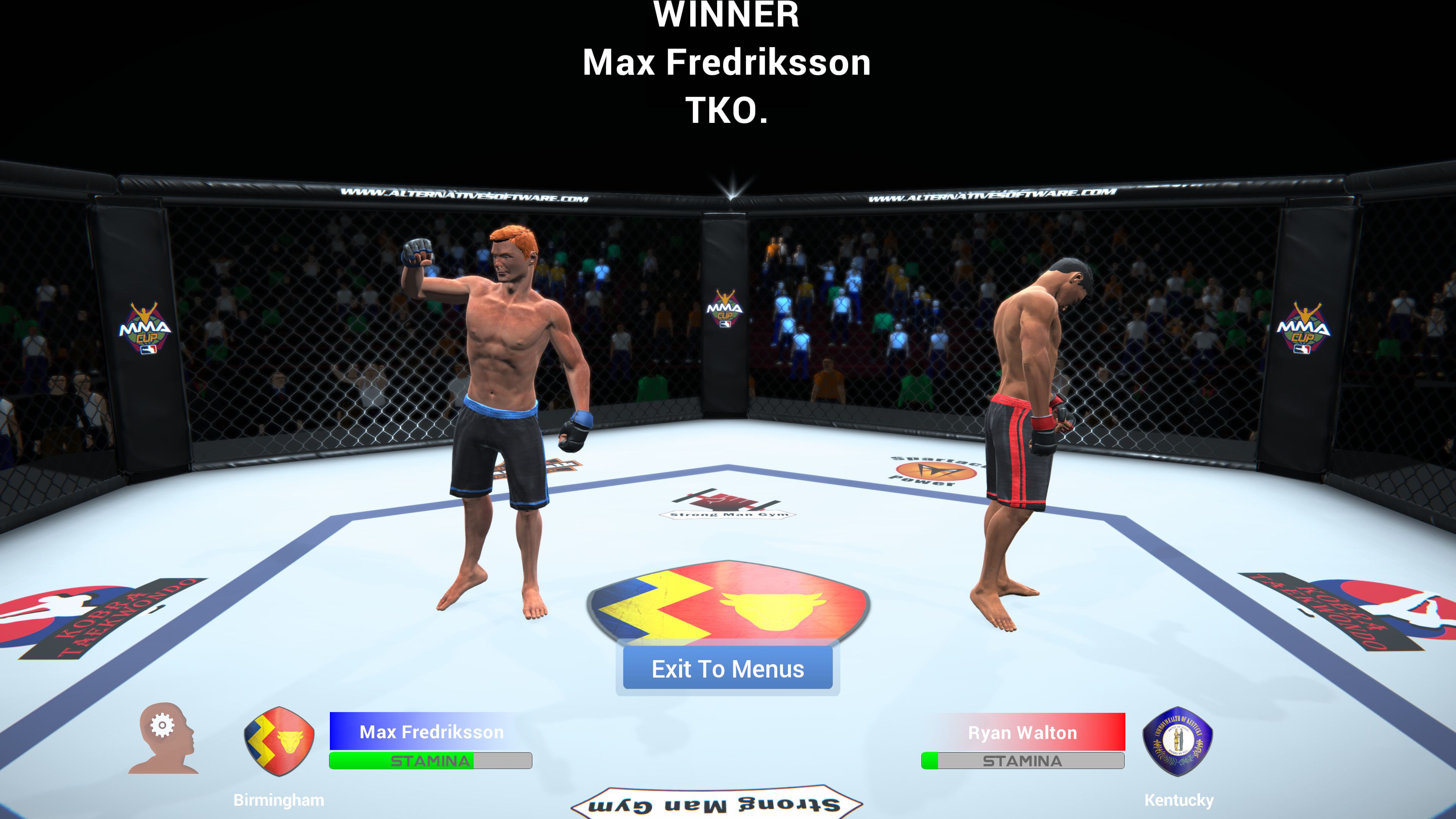 MMA Team Manager screenshot 8