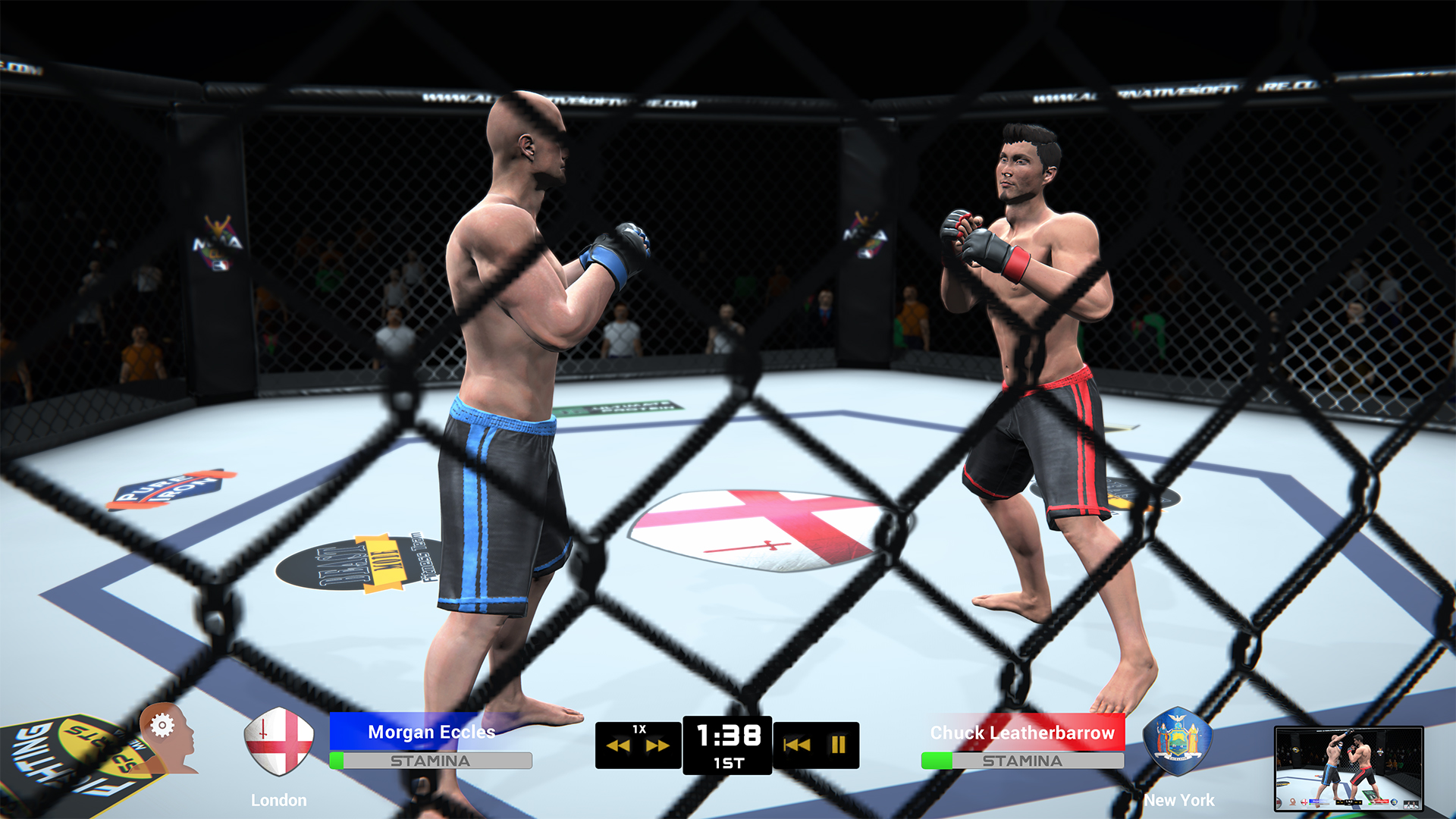 MMA Team Manager screenshot 13