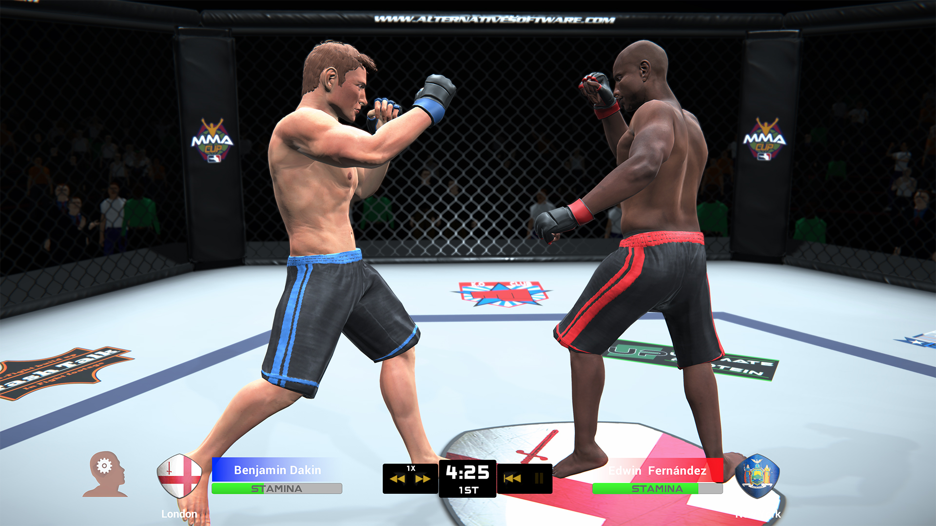MMA Team Manager screenshot 18