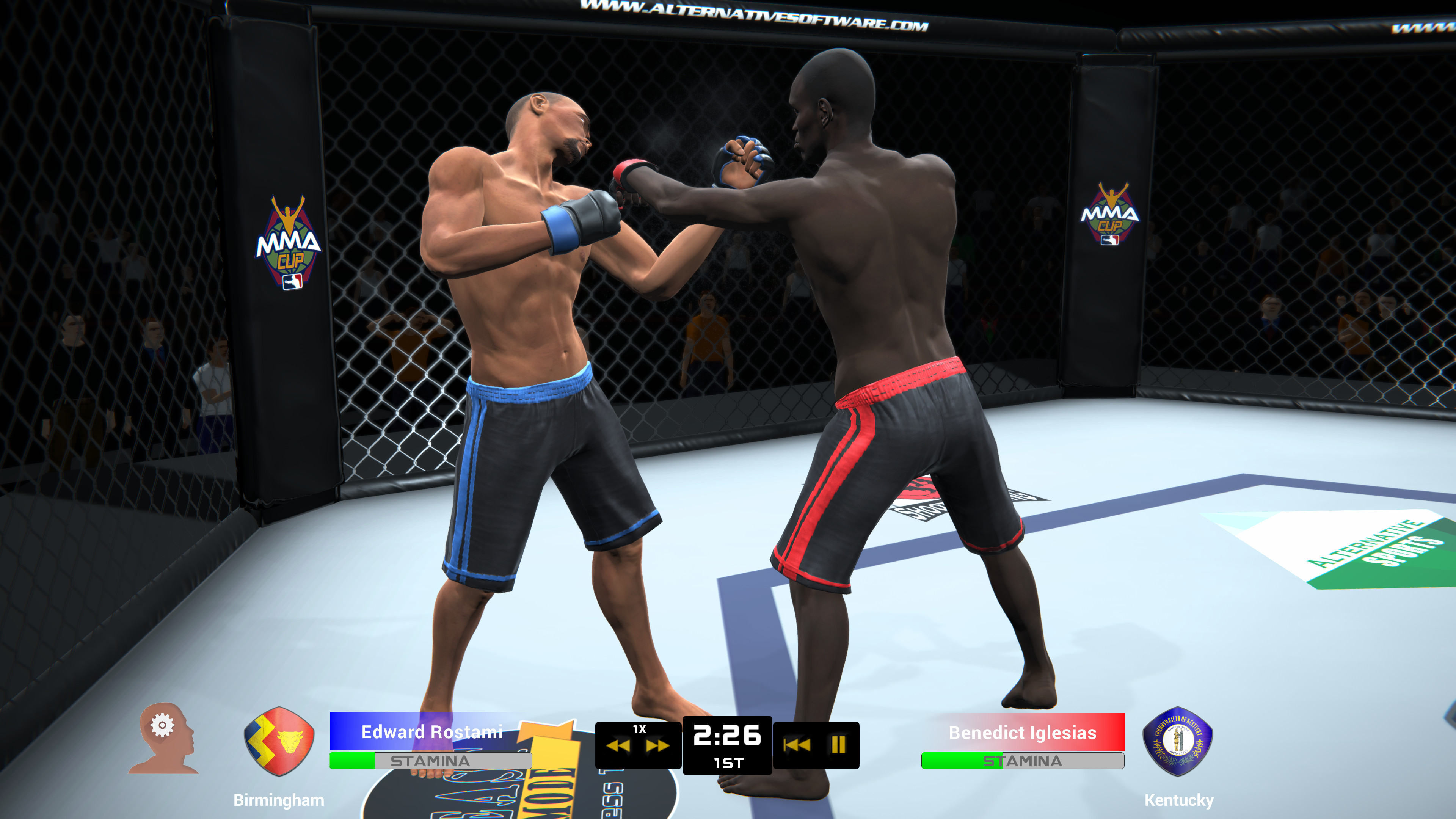 MMA Team Manager screenshot 10
