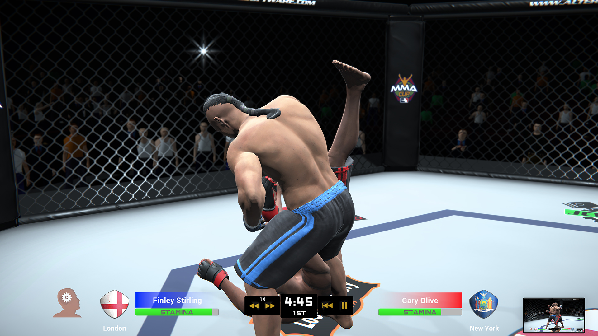 MMA Team Manager screenshot 12