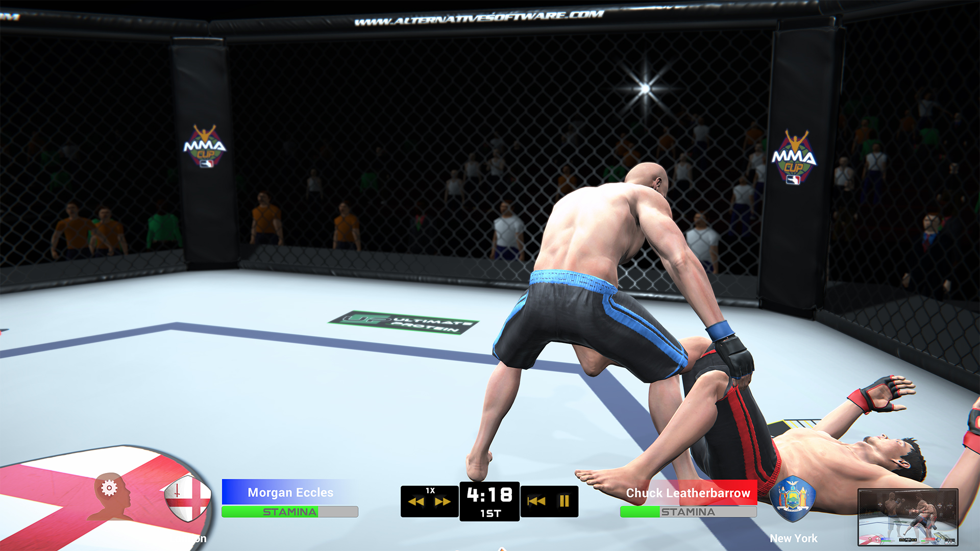 MMA Team Manager screenshot 17